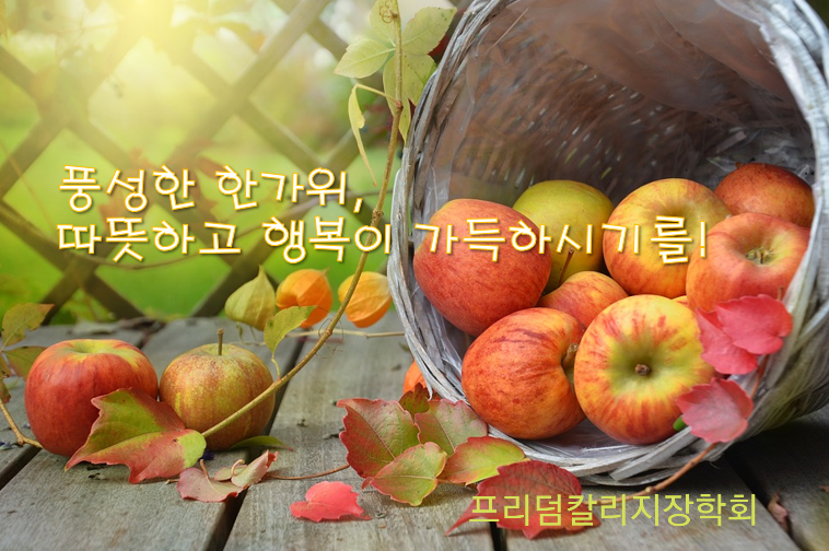 20190913_073258002006.png