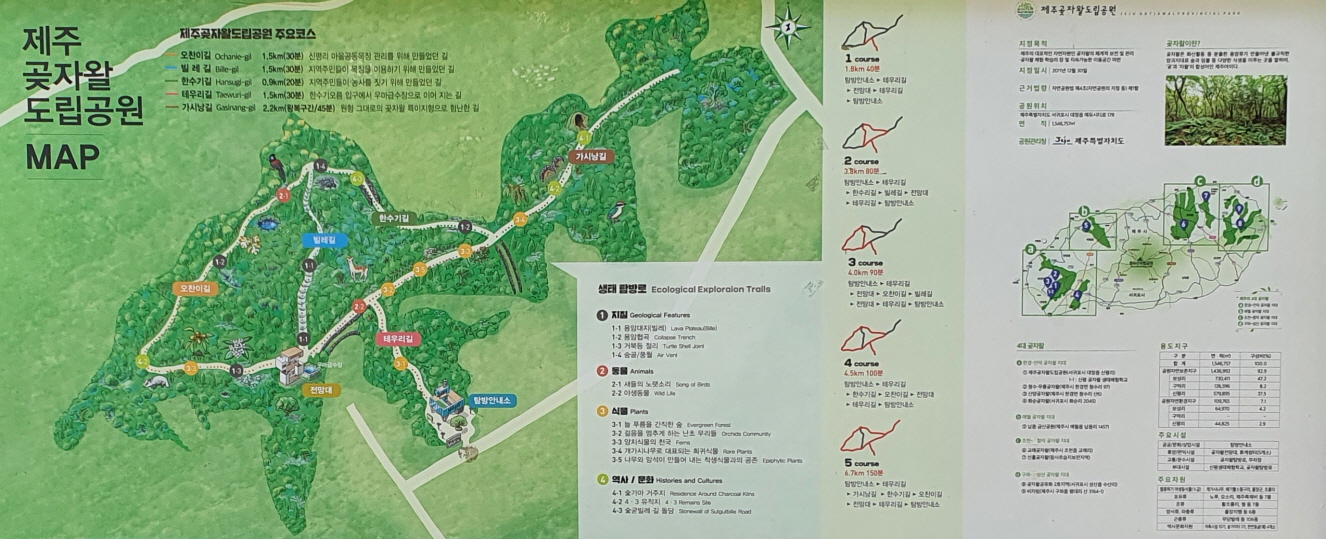 곶자왈 도립공원[크기변환] 1.jpg